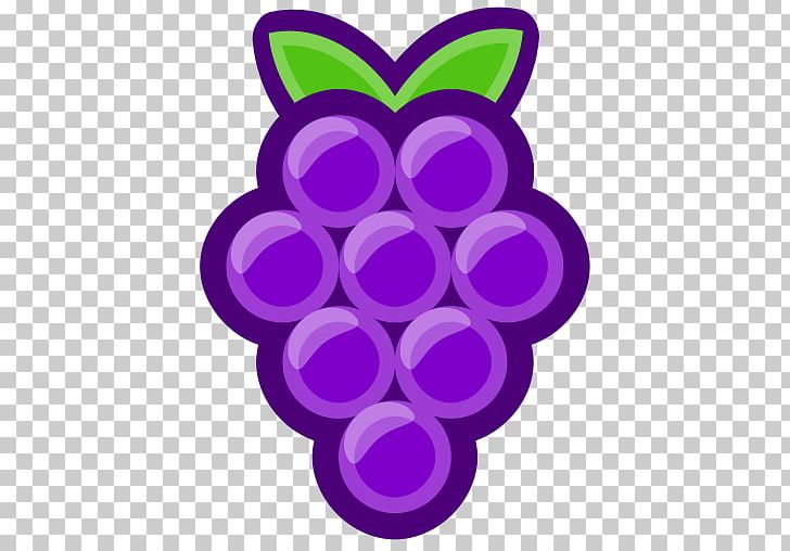 Common Grape Vine Berry Portable Network Graphics Eating PNG, Clipart, Berry, Circle, Common Grape Vine, Computer Icons, Eating Free PNG Download