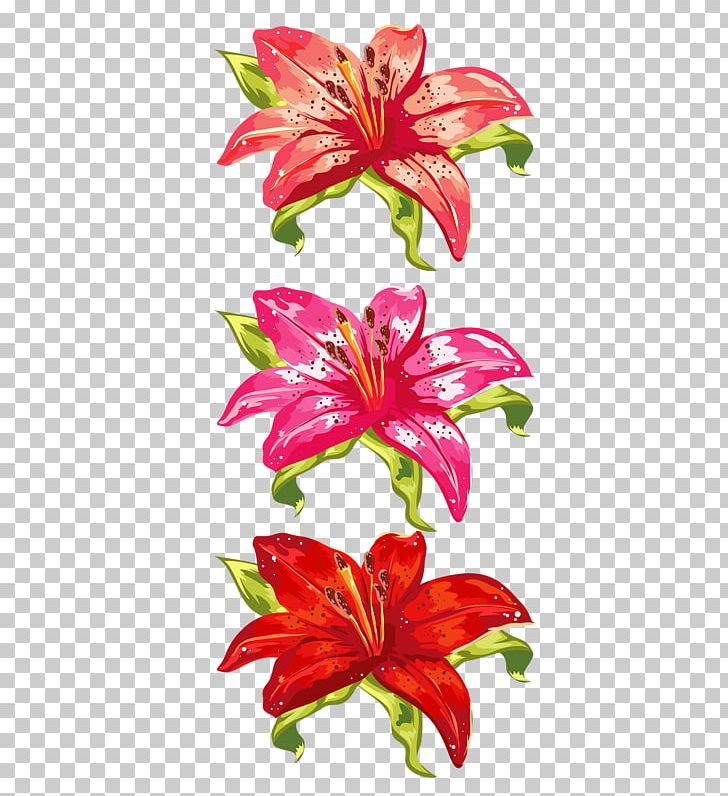 Orange Lily Cut Flowers Sticker Floral Design PNG, Clipart,  Free PNG Download