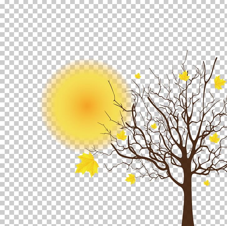Tree Spring PNG, Clipart, Autumn Leaves, Autumn Tree, Autumn Vector, Branch, Computer Wallpaper Free PNG Download