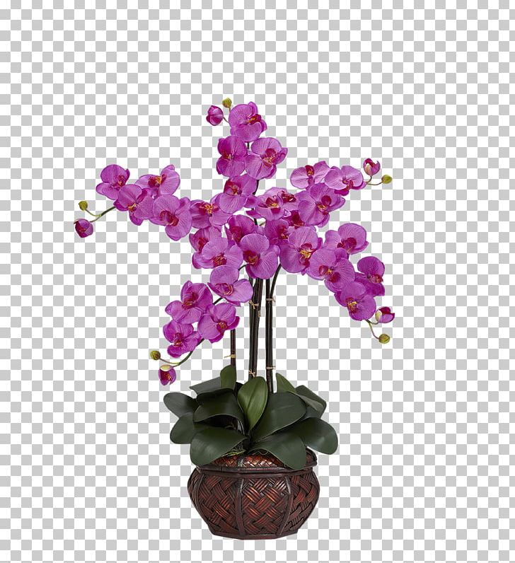 Moth Orchids Artificial Flower Vase PNG, Clipart, Arrange, Boat Orchid, Color, Cut Flowers, Decorative Free PNG Download