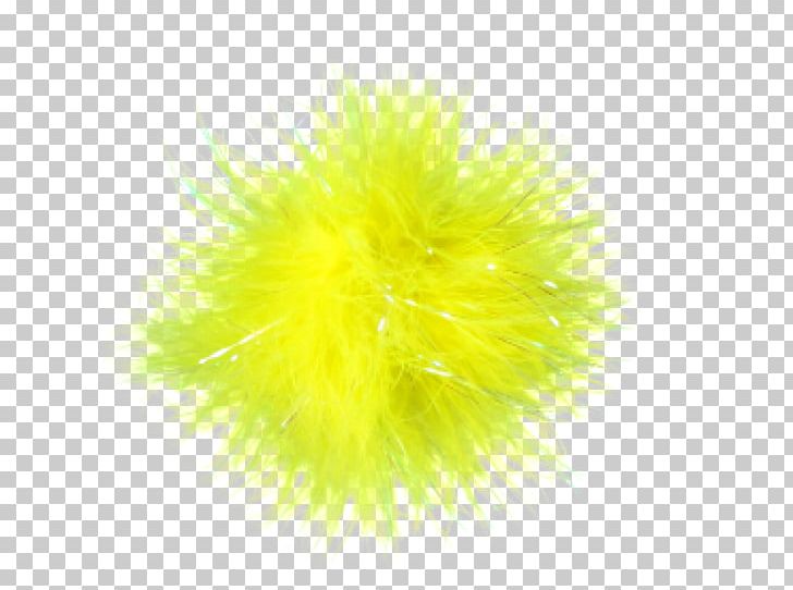 Close-up PNG, Clipart, Closeup, Grass, Yellow, Yellow Feathers Free PNG Download