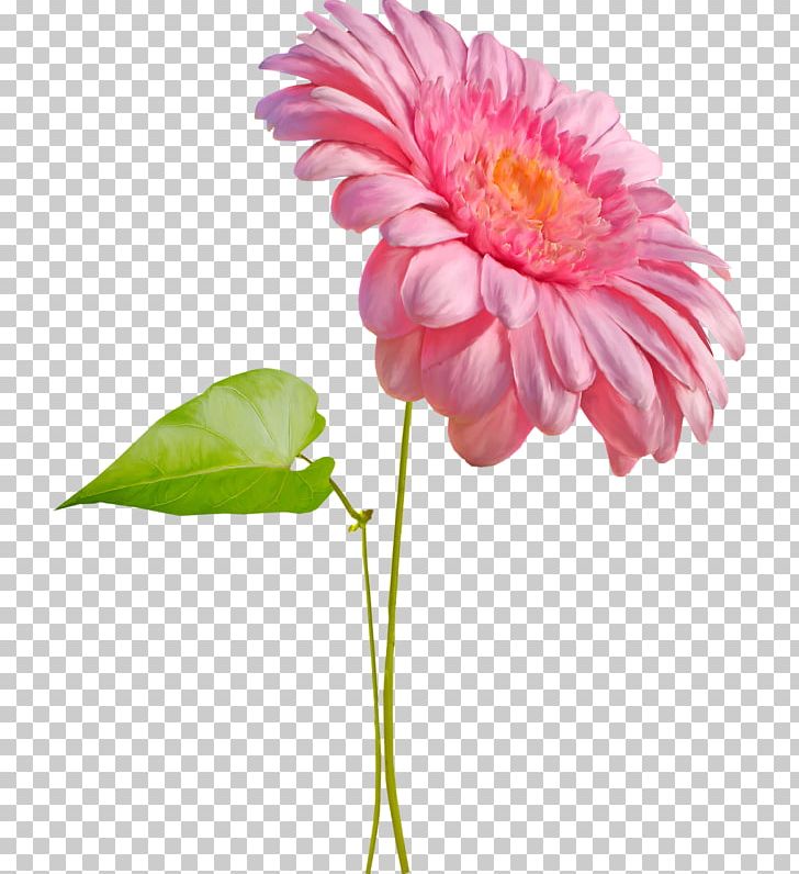 Flower Bouquet Rose PNG, Clipart, Annual Plant, Aster, Chrysanths, Cut Flowers, Dahlia Free PNG Download