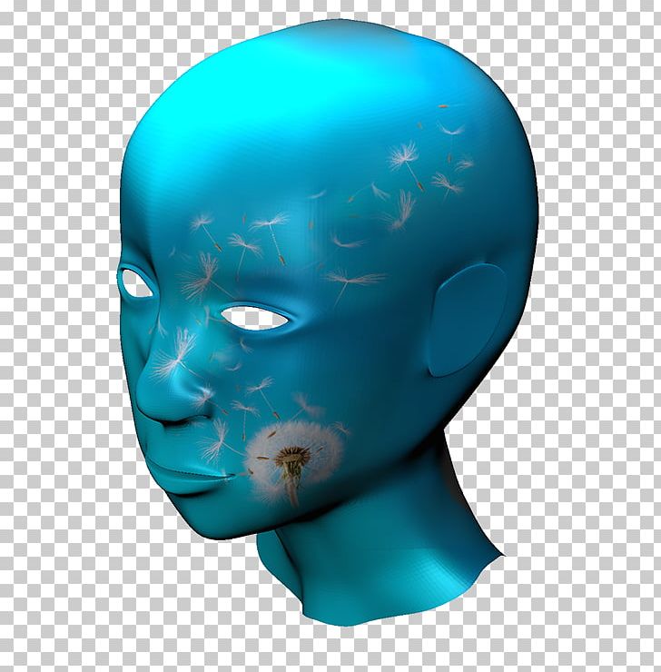 Forehead Organism Turquoise Jaw PNG, Clipart, Face, Forehead, Head, Jaw, Neck Free PNG Download