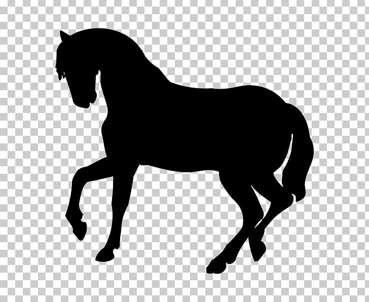 Horse Silhouette Dog Baby Jungle Animals Cat PNG, Clipart, Animal, Animals, Baby Jungle Animals, Black, Black And White Free PNG Download