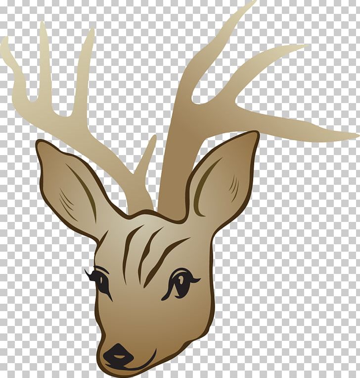 Red Deer White-tailed Deer PNG, Clipart, Animals, Antler, Beautiful, Beautiful Vector, Beauty Free PNG Download