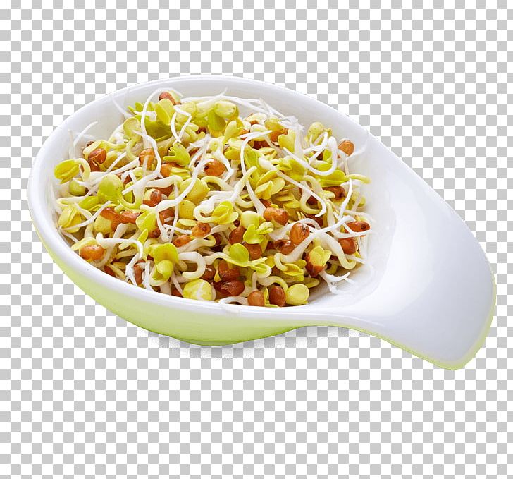 Vegetarian Cuisine Organic Food Recipe Sprouting Salad PNG, Clipart, Bean, Bean Salad, Cuisine, Dish, Fenugreek Free PNG Download