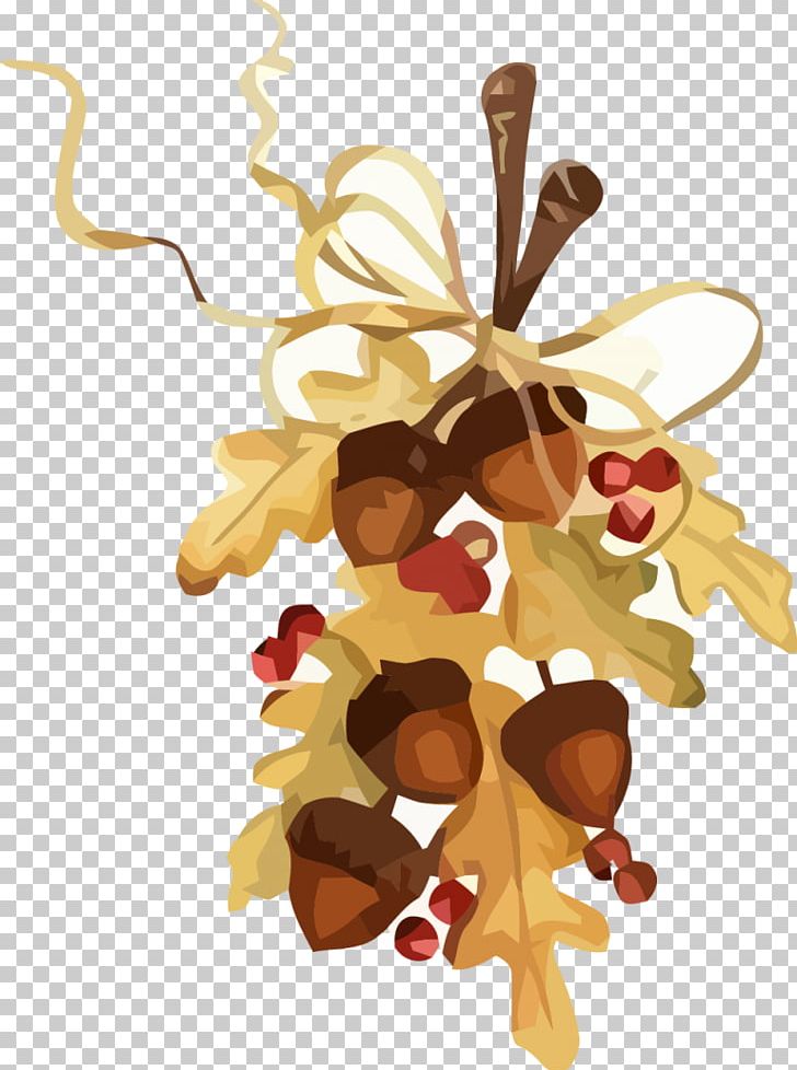 Autumn Acorn Oak PNG, Clipart, Acorn, Autumn, Autumn Leaf Color, Christmas Decoration, Christmas Ornament Free PNG Download