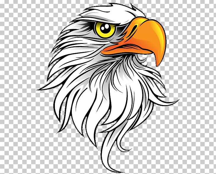 Bald Eagle Free Content PNG, Clipart, Adobe Illustrator, Animals, Art, Artwork, Bald Eagle Free PNG Download