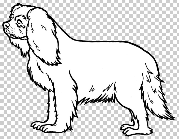 Cavalier King Charles Spaniel English Cocker Spaniel Chihuahua Poodle PNG, Clipart, Animal, Animal Figure, Black And White, Carnivoran, Cavalier King Charles Spaniel Free PNG Download
