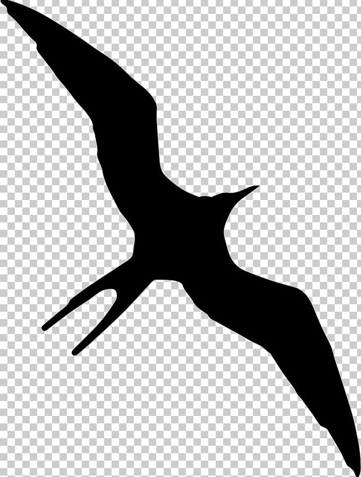 Christmas Frigatebird Gulls Silhouette Ascension Frigatebird PNG, Clipart, Animal, Animals, Artwork, Beak, Bird Free PNG Download