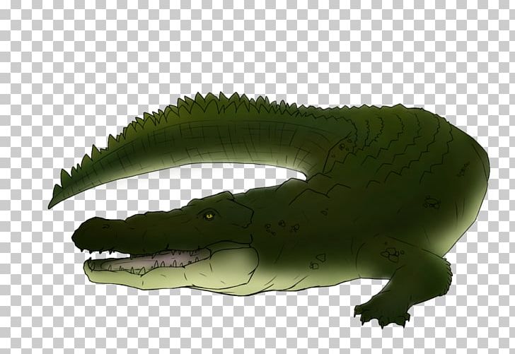 Crocodiles Alligator Saltwater Crocodile Painting Drawing PNG, Clipart, Alligator, Amphibian, Animals, Art, Crocodile Free PNG Download