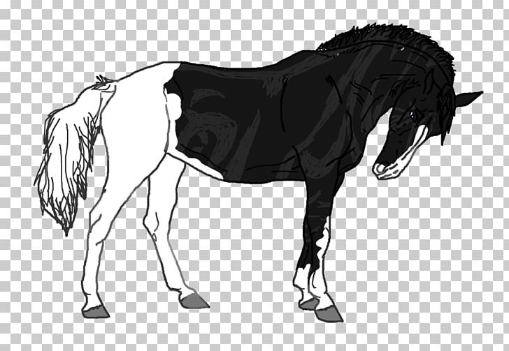 Mule Stallion Mustang Mare Colt PNG, Clipart, Bridle, Colt, Drawing, Fictional Character, Horse Free PNG Download