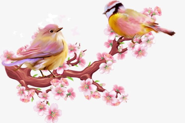 Peach Blossom Birds PNG, Clipart, Birdie, Birds, Birds Clipart, Birds Clipart, Blossom Free PNG Download