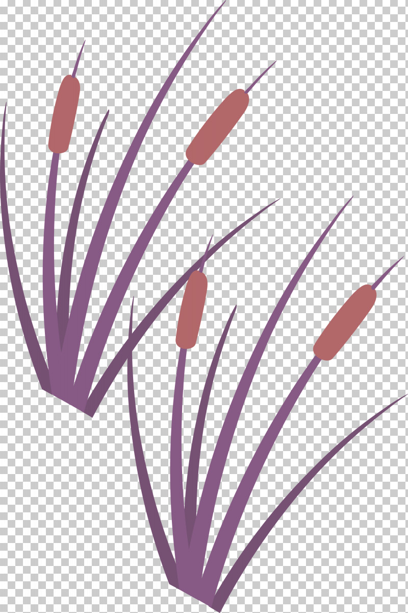Tree Forest PNG, Clipart, Forest, Line, Meter, Purple, Tree Free PNG Download