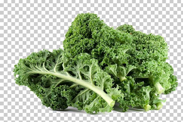 Curly Kale Leaf Vegetable Fruit Cruciferous Vegetables PNG, Clipart, Broccoli, Cabbage, Collard Greens, Cruciferous Vegetables, Food Free PNG Download