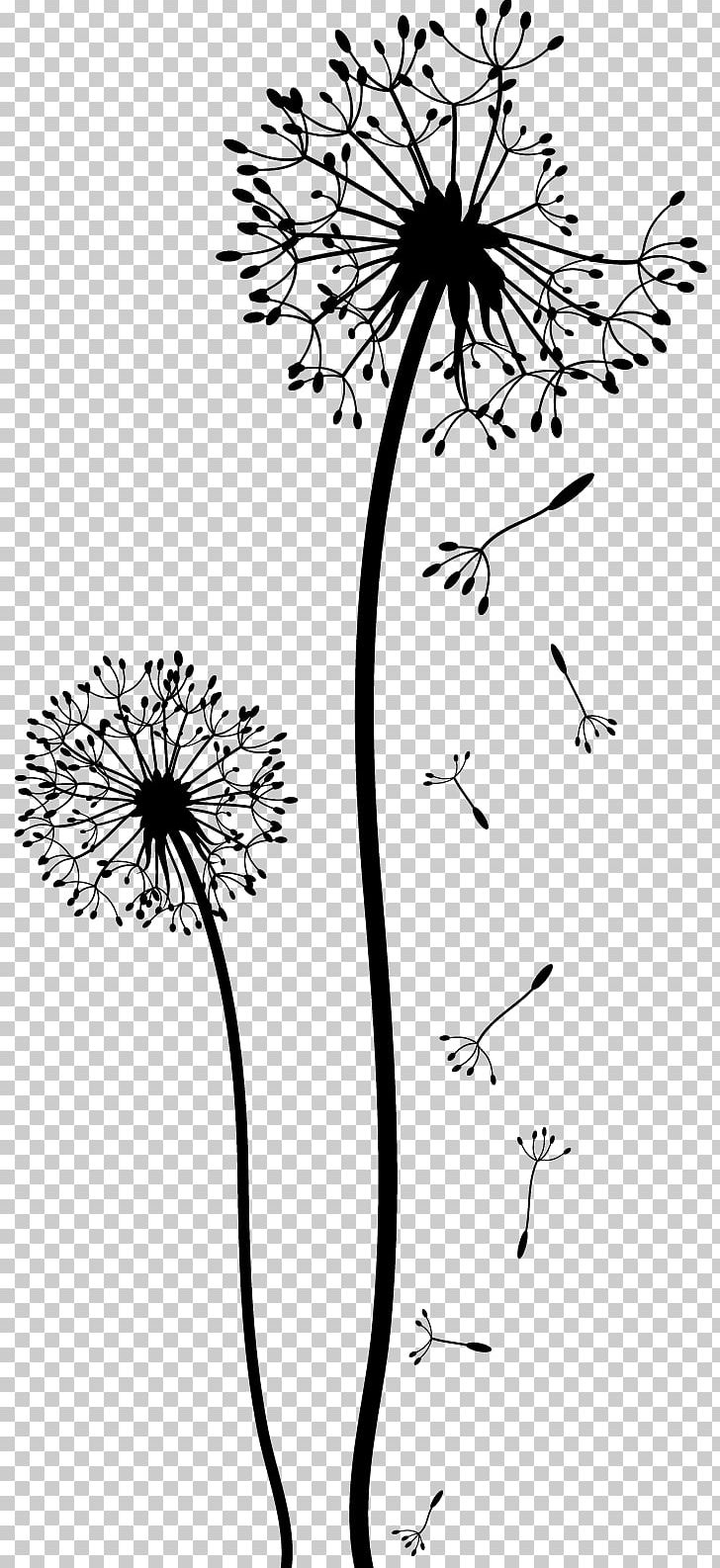 Dandelion Drawing Black And White PNG, Clipart, Area, Artwork, Black, Branch, Cut Flowers Free PNG Download