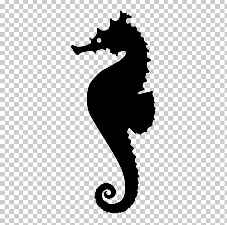 Seahorse Monochrome Photography Syngnathiformes PNG, Clipart, Animal, Animals, Black And White, Fish, Monochrome Free PNG Download