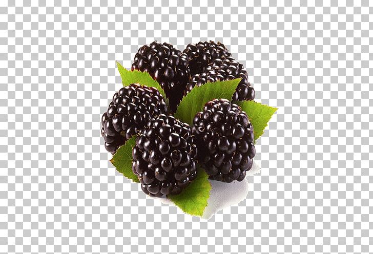 Blackberry Raspberry Fruit Rubus Nessensis PNG, Clipart, Berry, Blackberry, Boysenberry, Common Beet, Food Free PNG Download