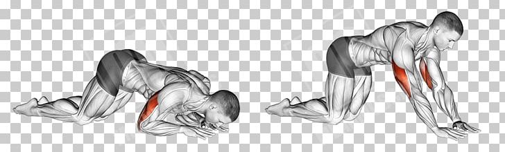 Bodybuilding Muscle Fitness Centre Training PNG, Clipart,  Free PNG Download