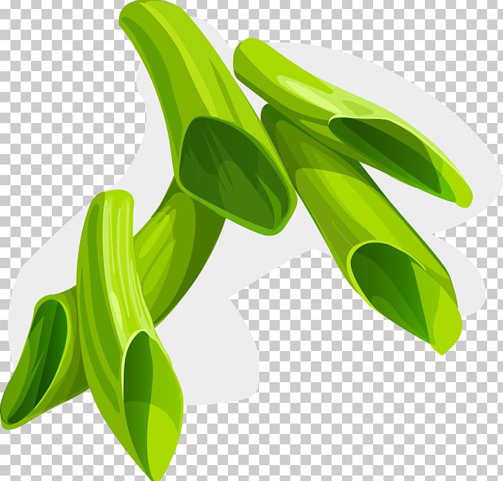 Allium Fistulosum Scallion PNG, Clipart, Adobe Illustrator, Allium Fistulosum, Encapsulated Postscript, Food, Grass Free PNG Download