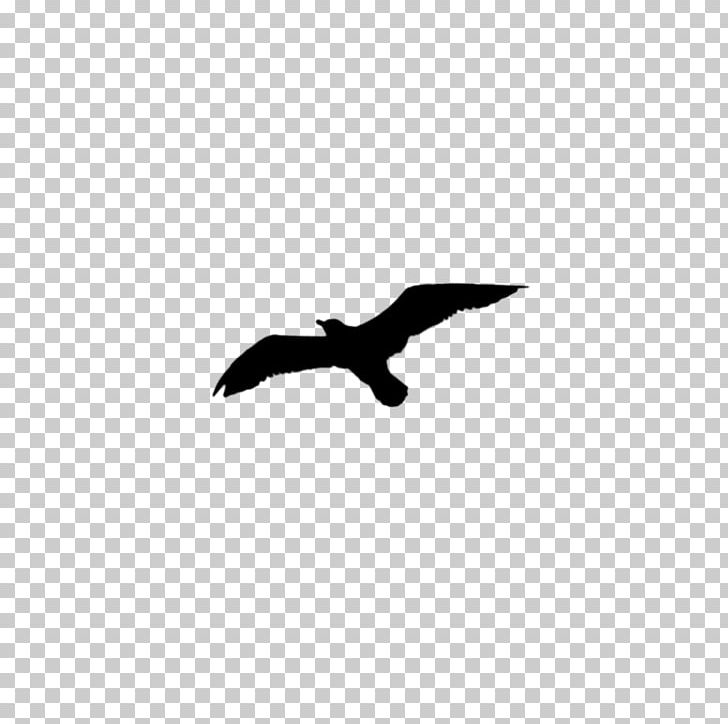 Bald Eagle Black Beak Silhouette White PNG, Clipart, Animals, Bald Eagle, Beak, Bird, Black Free PNG Download
