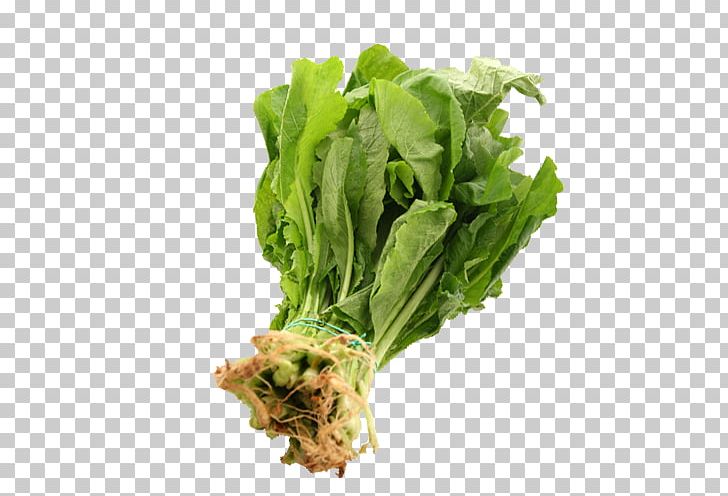 Romaine Lettuce Rapini Spring Greens Vegetarian Cuisine Turnip PNG, Clipart, Brassica Oleracea, Endive, Food, Food Drinks, Herb Free PNG Download