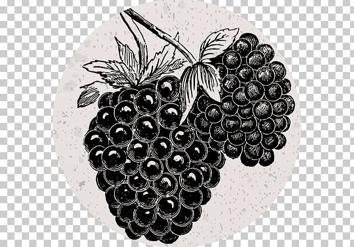 Blackberry Grape Italian Cuisine PNG, Clipart, Berry, Black And White, Blackberry, Chef, Drawing Free PNG Download