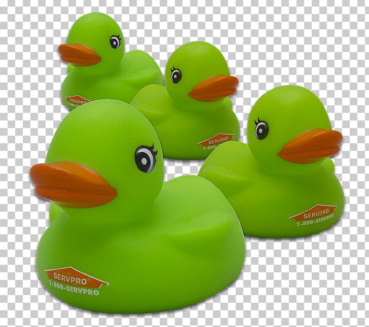 Rubber Duck Natural Rubber Baths Toy PNG, Clipart, Animals, Baths, Beak, Bird, Download Free PNG Download
