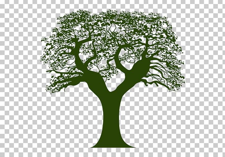 Tree Encapsulated PostScript Logo PNG, Clipart, Branch, Computer Software, Download, Encapsulated Postscript, Grass Free PNG Download