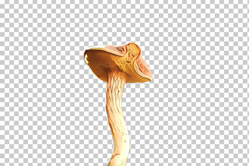 Joint Mushroom PNG, Clipart, Joint, Mushroom Free PNG Download