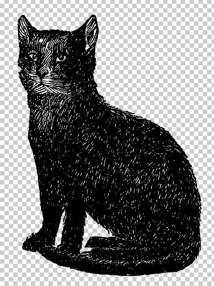 Black Cat Kitten PNG, Clipart, Animals, Black, Black And White, Black Cat, Blog Free PNG Download