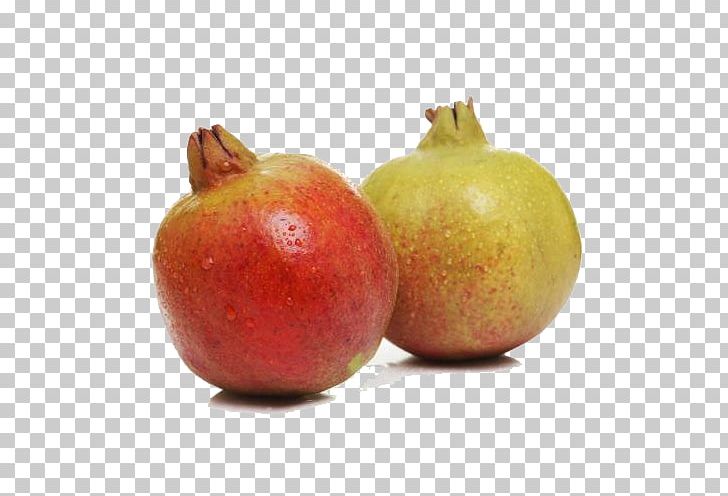 Pomegranate Fruit PNG, Clipart, Apple, Delicious, Encapsulated Postscript, Euclidean Vector, Food Free PNG Download