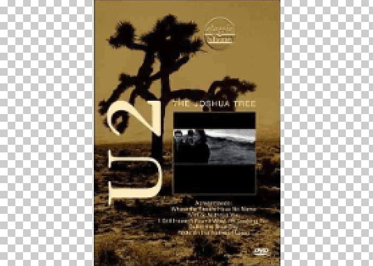 The Joshua Tree The Unforgettable Fire Tour U2 Ultraviolet (Light My Way) DVD PNG, Clipart, Advertising, Bono, Dvd, Edge, Film Free PNG Download