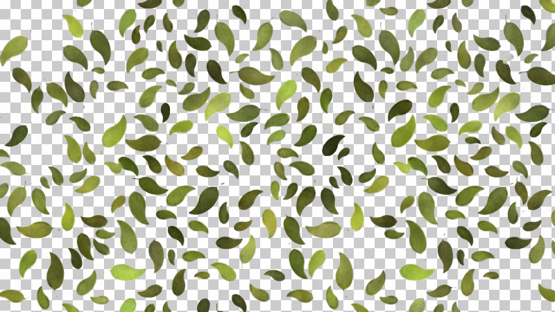 Pattern Leaf Hue Green Plant Stem PNG, Clipart, Background Information, Color, Green, Hue, Leaf Free PNG Download