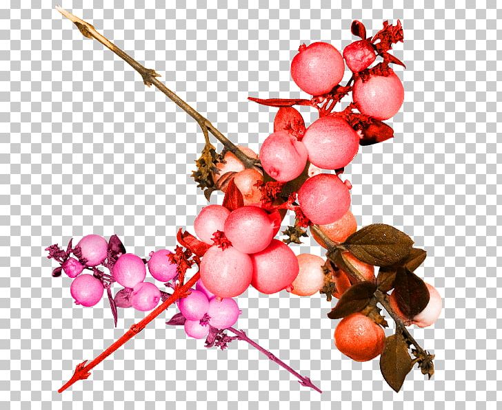 Pomegranate Fruit Grape Frutti Di Bosco PNG, Clipart, Arrangement, Auglis, Berry, Branch, Download Free PNG Download