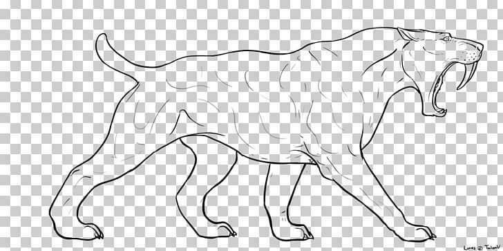 Saber-toothed Cat Art Felidae Drawing PNG, Clipart, Animal Figure, Animals, Art, Artwork, Black And White Free PNG Download