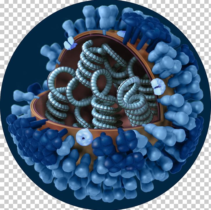 2009 Flu Pandemic Influenza A Virus Subtype H1N1 Influenza A Virus Subtype H3N2 Swine Influenza PNG, Clipart, 2009 Flu Pandemic, Avian Influenza, Either, Flu, Influenza Free PNG Download