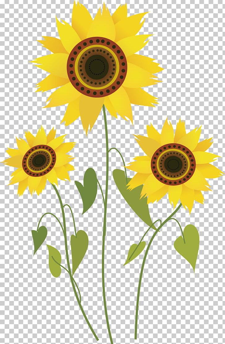 Common Sunflower Drawing Computer File PNG, Clipart, Adobe Illustrator, Balloon Cartoon, Daisy Family, Encapsulated Postscript, Flower Free PNG Download