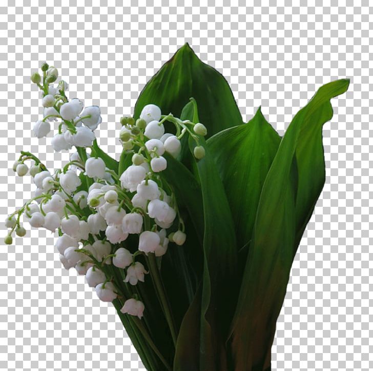 Floral Design Cut Flowers 1 May Lily Of The Valley PNG, Clipart, 1 May, 2018, Blog, Cut Flowers, Floral Design Free PNG Download