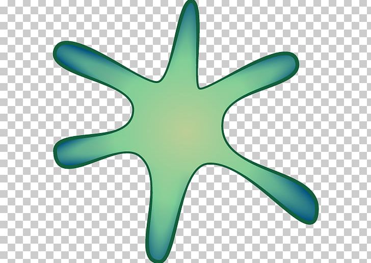 Starfish Reactome Echinoderm Biological Pathway PNG, Clipart, Analysis, Animals, Bioinformatics, Biological Pathway, Database Free PNG Download