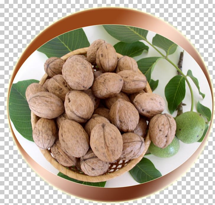 English Walnut Nucule Vegetarian Cuisine PNG, Clipart, Commodity, Cultivar, English Walnut, Food, Fruit Nut Free PNG Download