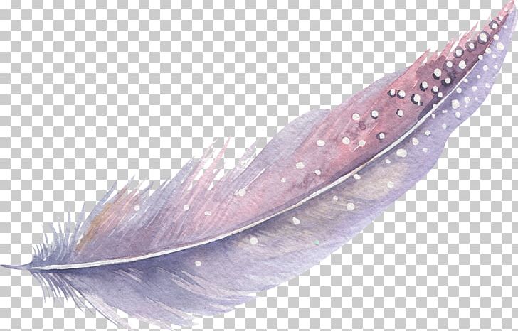 Feather Watercolor Painting PNG, Clipart, Animals, Cartoon, Cartoon Feather, Creative Work, Decorative Free PNG Download