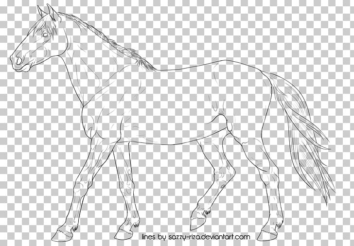 Mule Thoroughbred Foal Stallion Colt PNG, Clipart, Animal Figure, Art, Artwork, Black And White, Bridle Free PNG Download