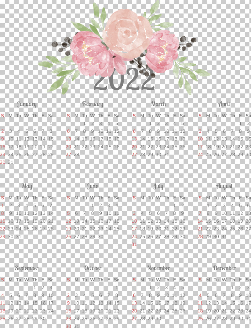 Floral Design PNG, Clipart, Biology, Calendar, Floral Design, Petal, Plant Free PNG Download