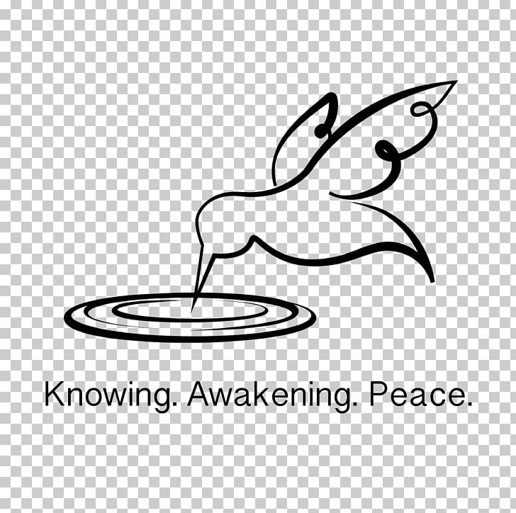 Contemplation Spirituality Retreat Meditation PNG, Clipart, Art, Artwork, Beak, Bird, Black Free PNG Download