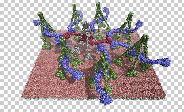 Molecule PyMOL Lectin Pathway Membrane Crystallography PNG, Clipart, Art, Cell Membrane, Complement System, Crystallography, Electron Density Free PNG Download