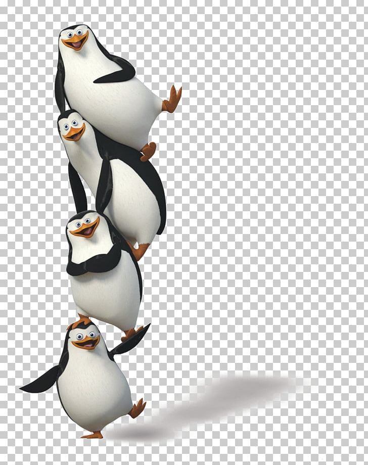Penguin Madagascar PNG, Clipart, Animals, Animation, Beak, Bird, Computer Wallpaper Free PNG Download