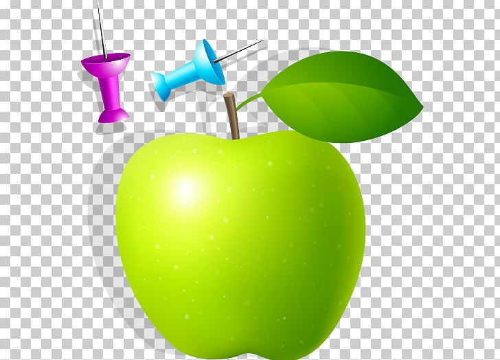 Granny Smith Apple PNG, Clipart, Drawing, Encapsulated Postscript, Flower Pattern, Food, Fruit Free PNG Download