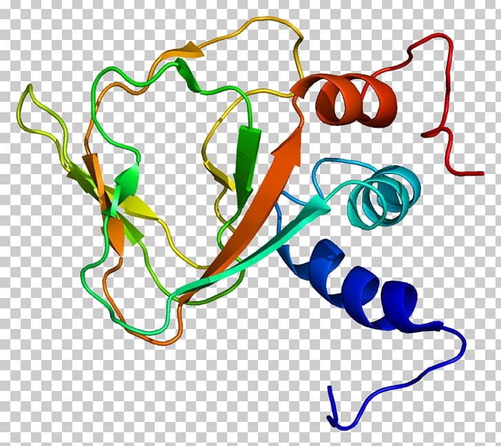 Line Organism Point PNG, Clipart, Area, Art, Artwork, Guanine Nucleotide Exchange Factor, Line Free PNG Download