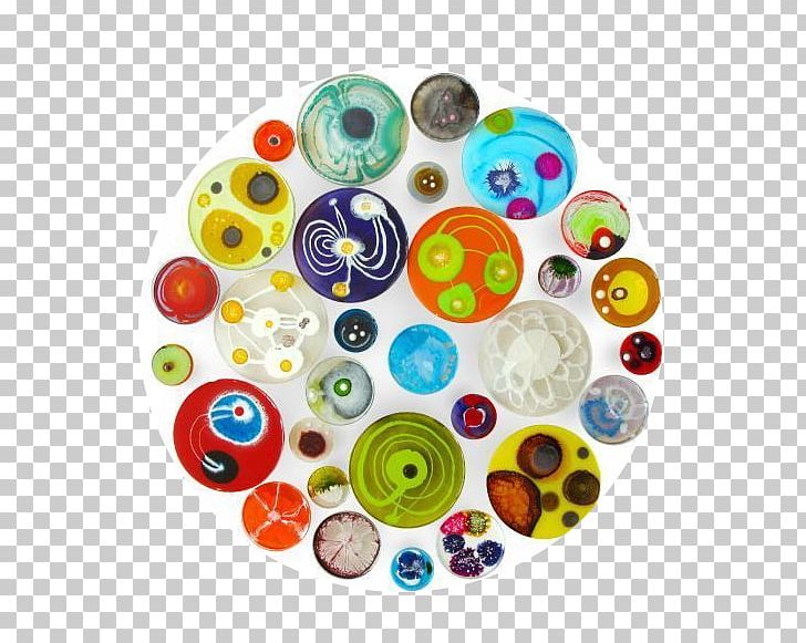 Petri Dish Painting Artist Work Of Art PNG, Clipart, Art, Art Genome Project, Artist, Bacteria, Bead Free PNG Download